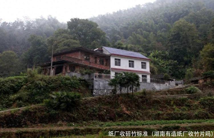 纸厂收碎竹标准(湖南有造纸厂收竹片吗)