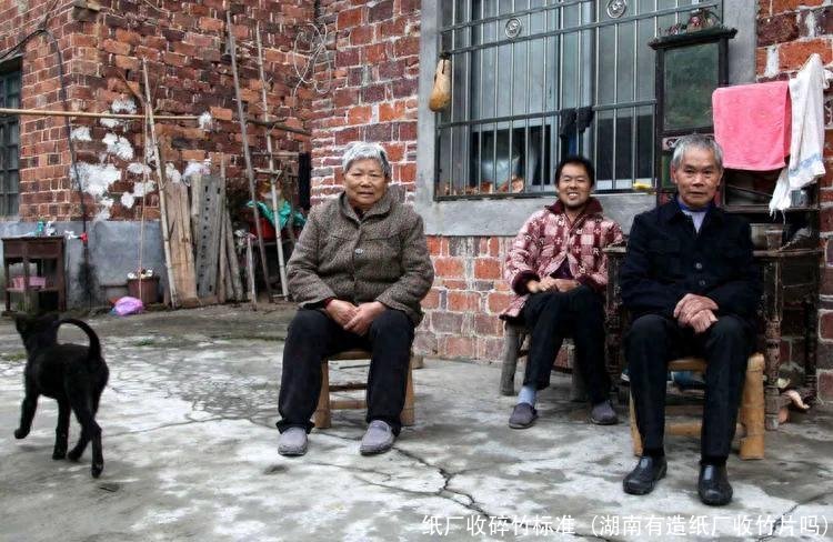 纸厂收碎竹标准(湖南有造纸厂收竹片吗)