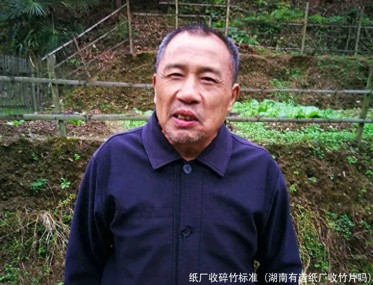 纸厂收碎竹标准(湖南有造纸厂收竹片吗)