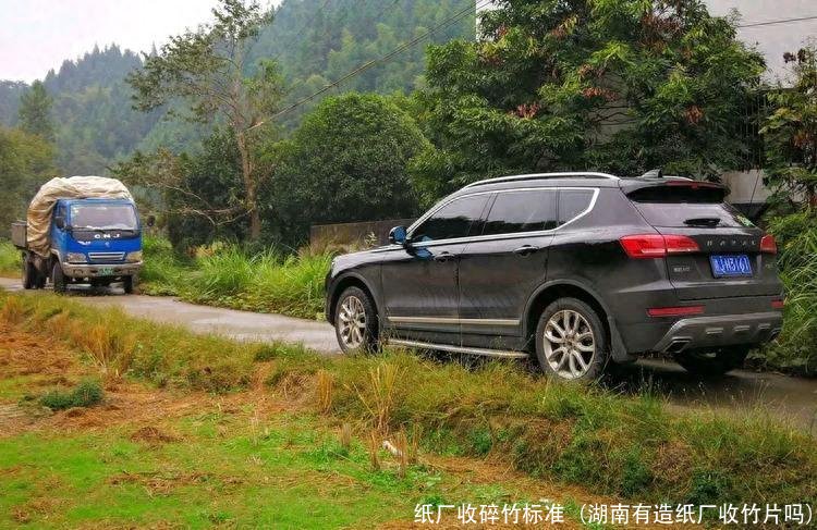 纸厂收碎竹标准(湖南有造纸厂收竹片吗)