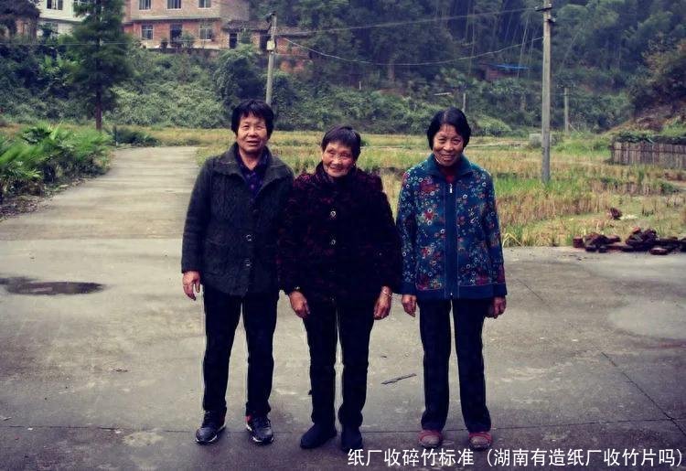 纸厂收碎竹标准(湖南有造纸厂收竹片吗)