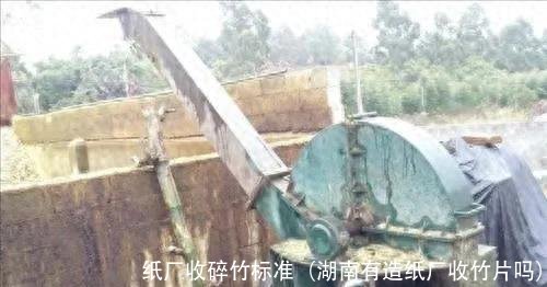 纸厂收碎竹标准(湖南有造纸厂收竹片吗)