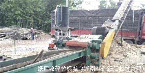纸厂收碎竹标准(湖南有造纸厂收竹片吗)
