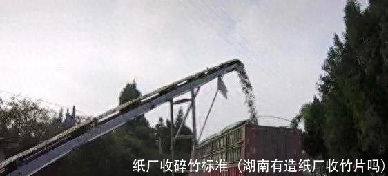 纸厂收碎竹标准(湖南有造纸厂收竹片吗)