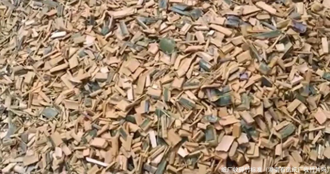 纸厂收碎竹标准(湖南有造纸厂收竹片吗)