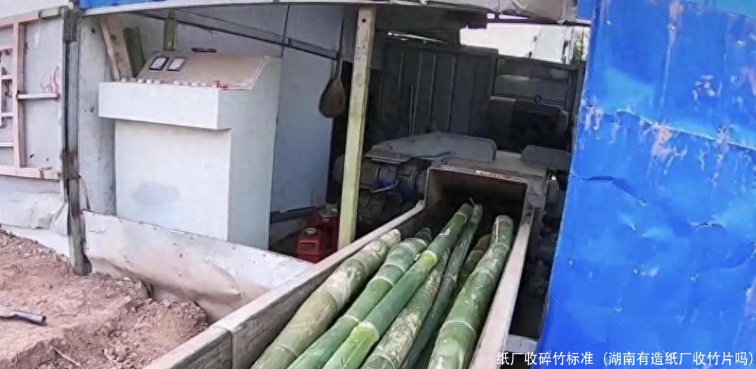 纸厂收碎竹标准(湖南有造纸厂收竹片吗)