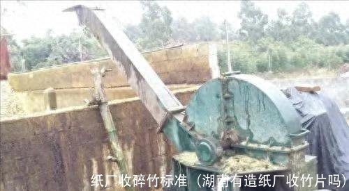 纸厂收碎竹标准(湖南有造纸厂收竹片吗)