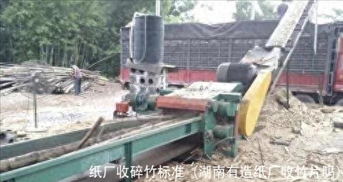 纸厂收碎竹标准(湖南有造纸厂收竹片吗)