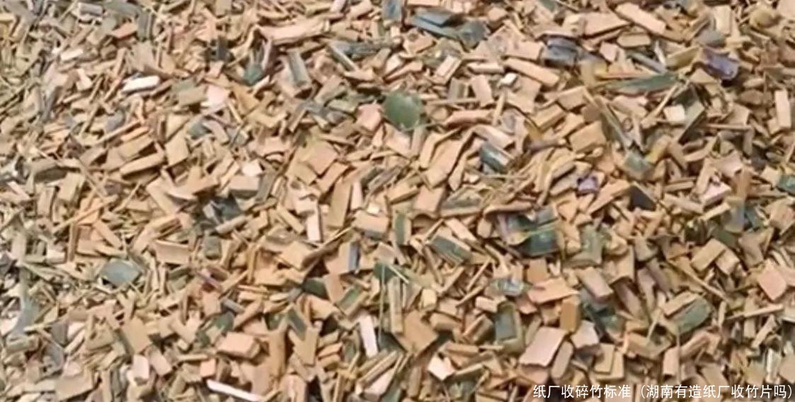 纸厂收碎竹标准(湖南有造纸厂收竹片吗)