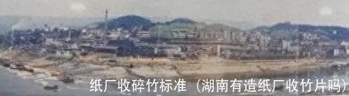 纸厂收碎竹标准(湖南有造纸厂收竹片吗)