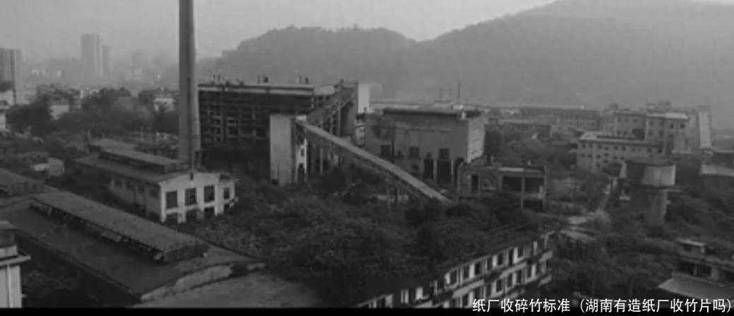 纸厂收碎竹标准(湖南有造纸厂收竹片吗)