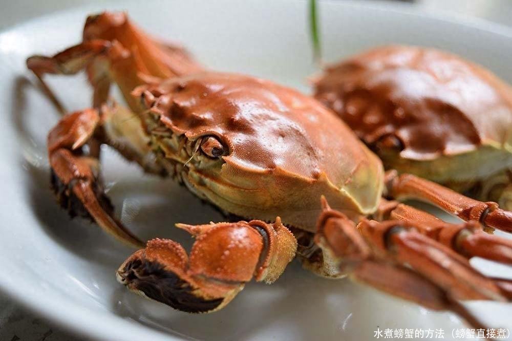 水煮螃蟹的方法(螃蟹直接煮)