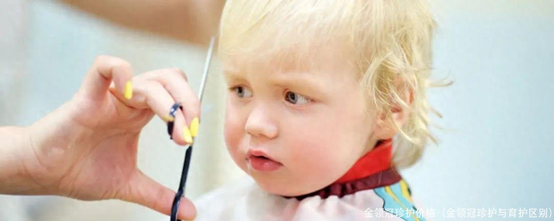 金领冠珍护价格(金领冠珍护与育护区别)