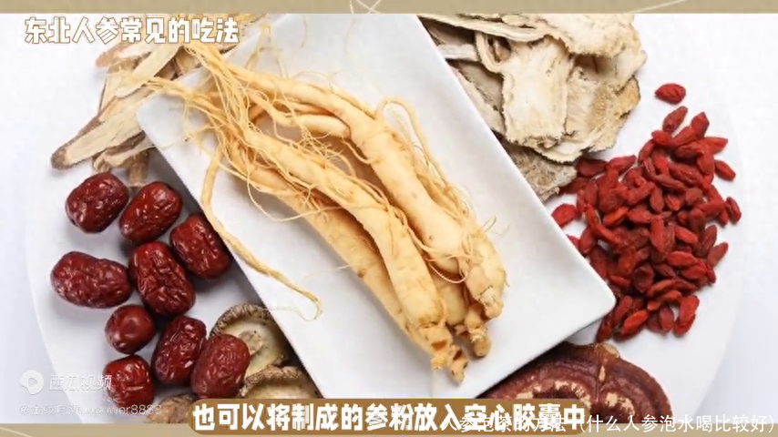 人参泡茶的方法（什么人参泡水喝比较好）