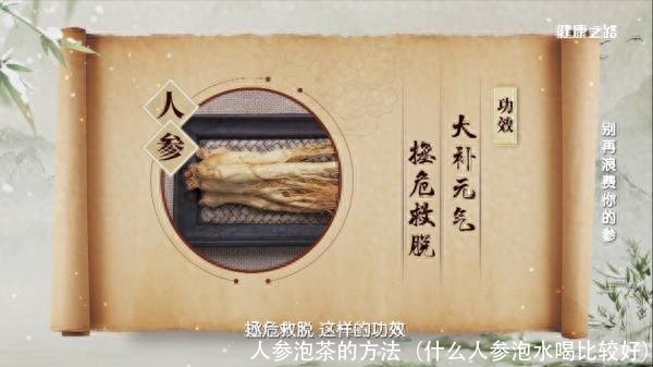 人参泡茶的方法（什么人参泡水喝比较好）