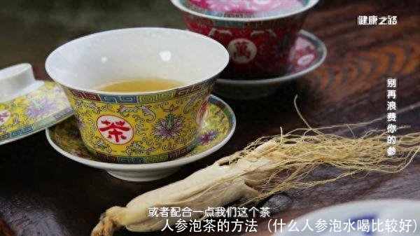 人参泡茶的方法（什么人参泡水喝比较好）