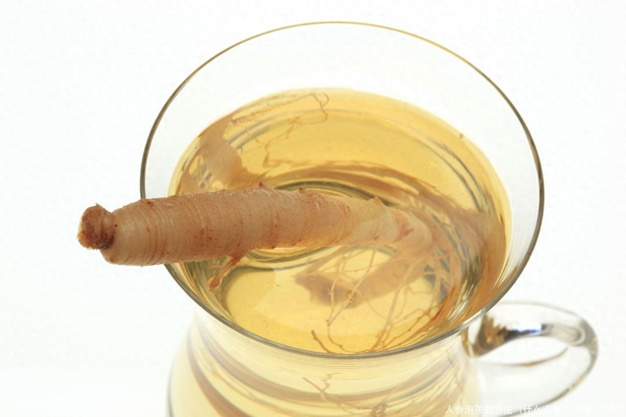 人参泡茶的方法（什么人参泡水喝比较好）