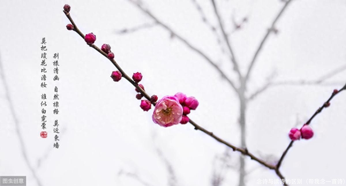 念诗与读诗的区别(帮我念一首诗)