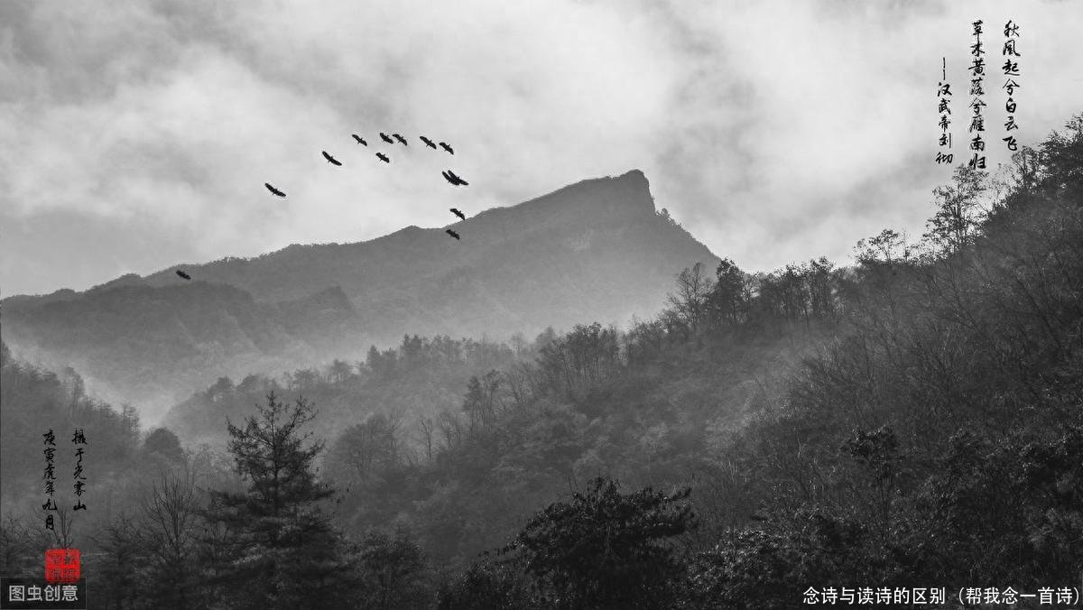 念诗与读诗的区别(帮我念一首诗)