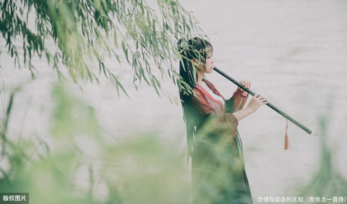 念诗与读诗的区别(帮我念一首诗)