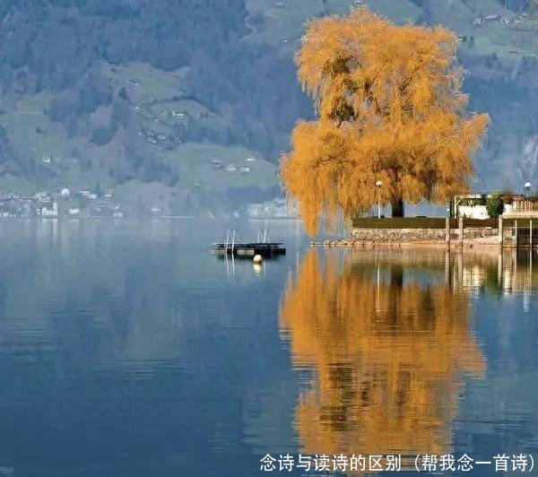 念诗与读诗的区别(帮我念一首诗)