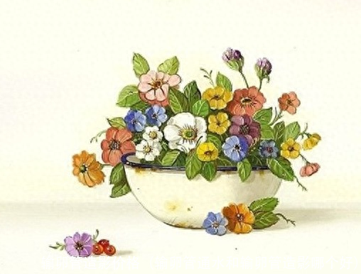 输卵管造影价格(输卵管通水和输卵管造影哪个好)