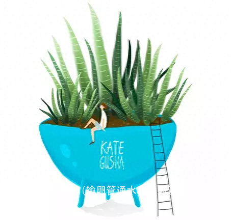 输卵管造影价格(输卵管通水和输卵管造影哪个好)