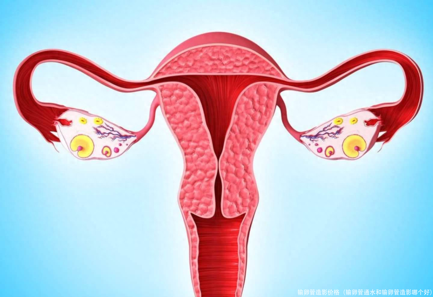 输卵管造影价格(输卵管通水和输卵管造影哪个好)