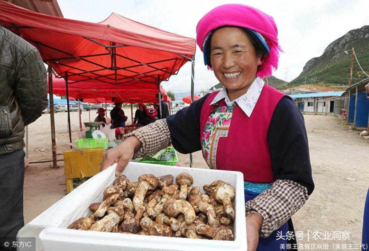 美猴王真假区别图(美猴王三代)