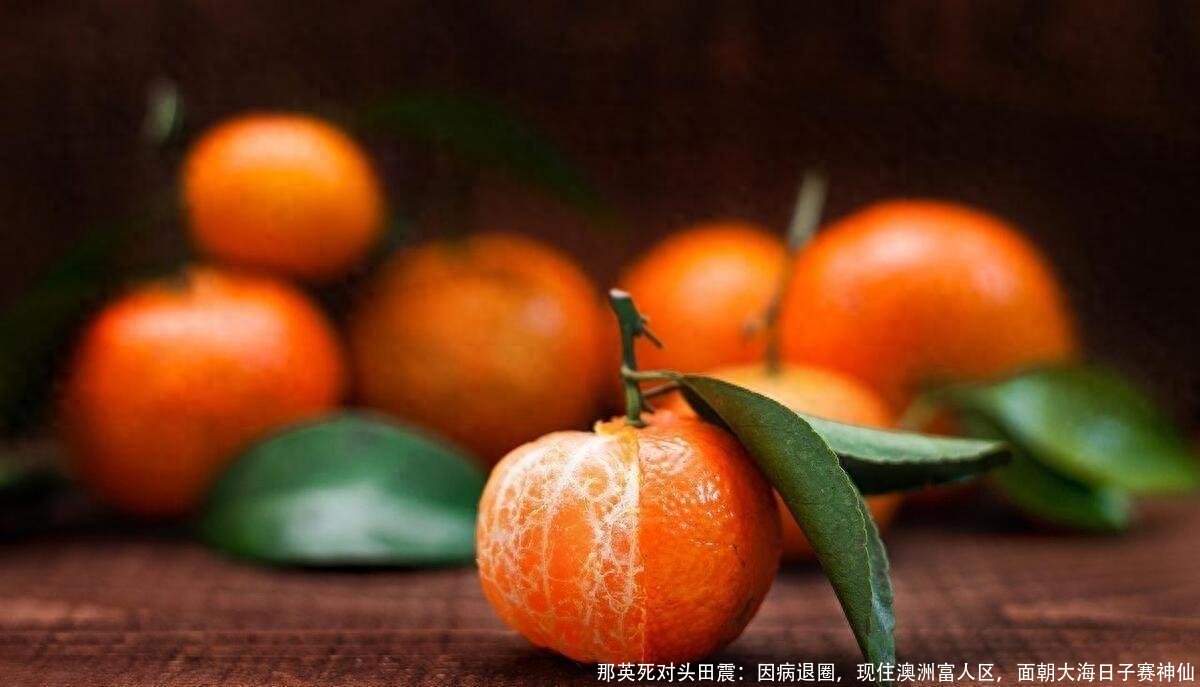 那英死对头田震:因病退圈,现住澳洲富人区,面朝大海日子赛神仙