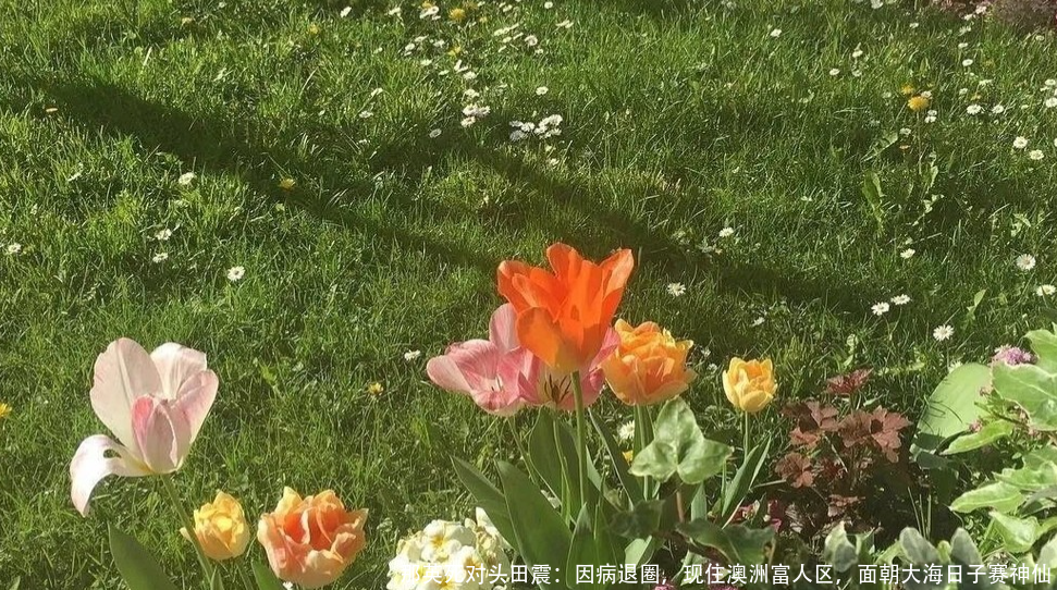 那英死对头田震:因病退圈,现住澳洲富人区,面朝大海日子赛神仙