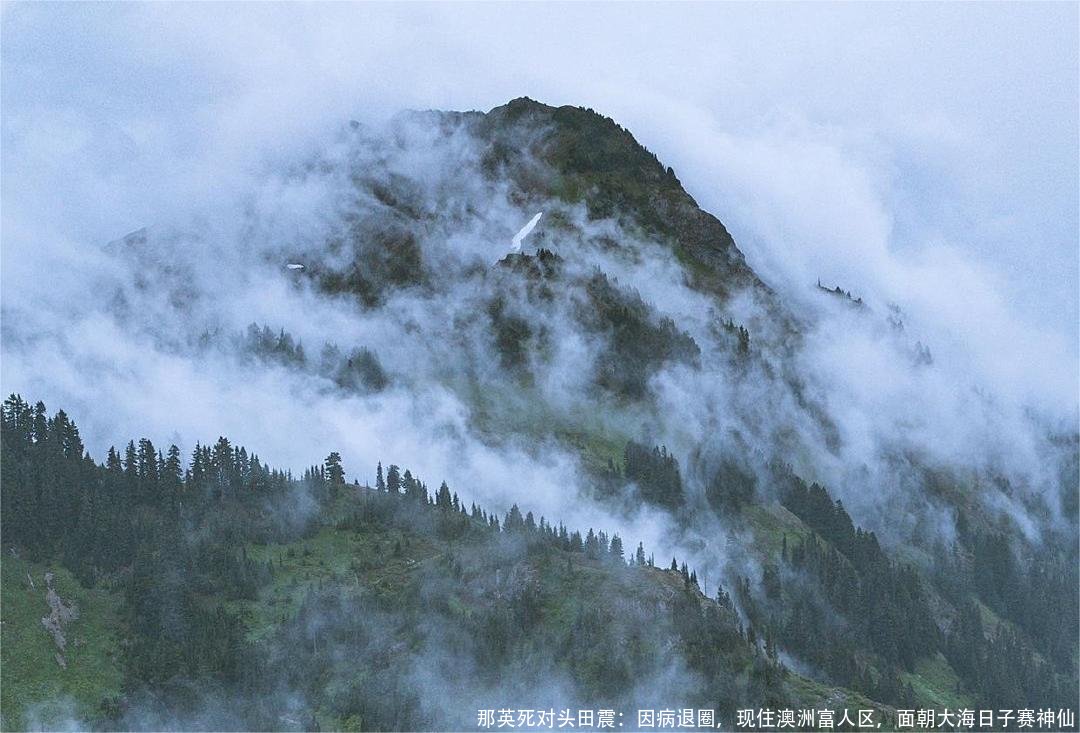 那英死对头田震:因病退圈,现住澳洲富人区,面朝大海日子赛神仙