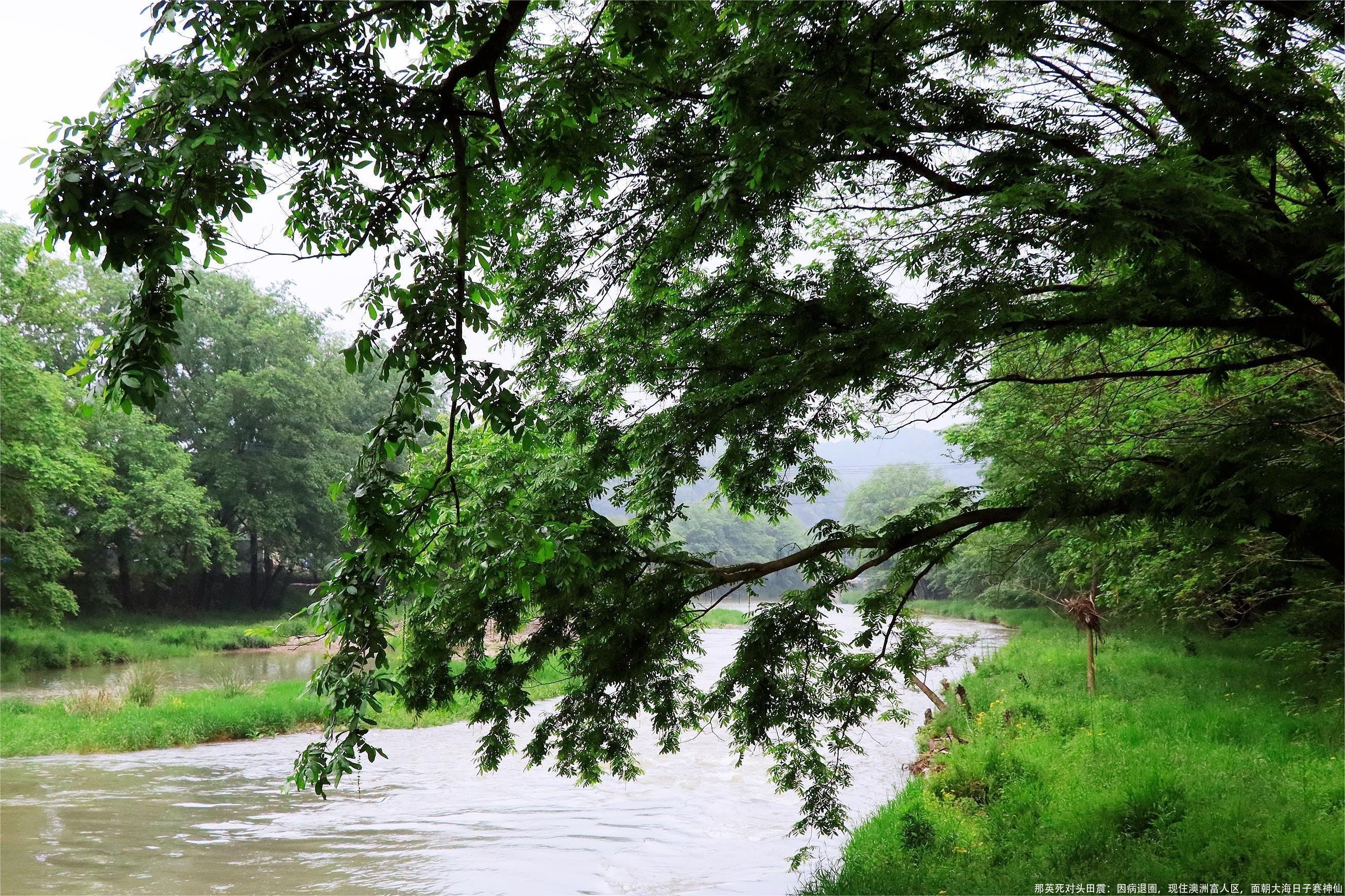 那英死对头田震:因病退圈,现住澳洲富人区,面朝大海日子赛神仙