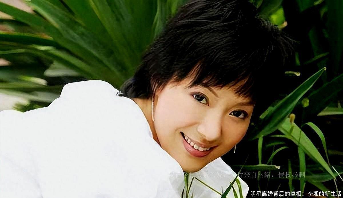 明星离婚背后的真相:李湘的新生活