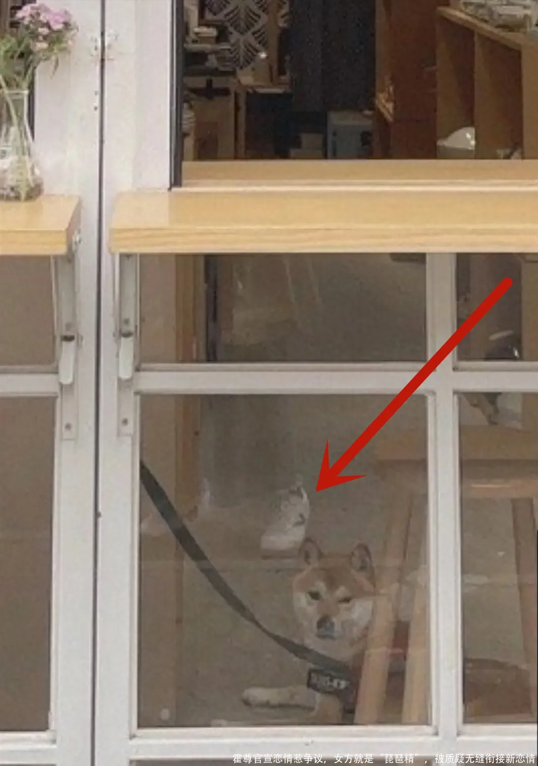 霍尊官宣恋情惹争议,女方就是“琵琶精”,被质疑无缝衔接新恋情