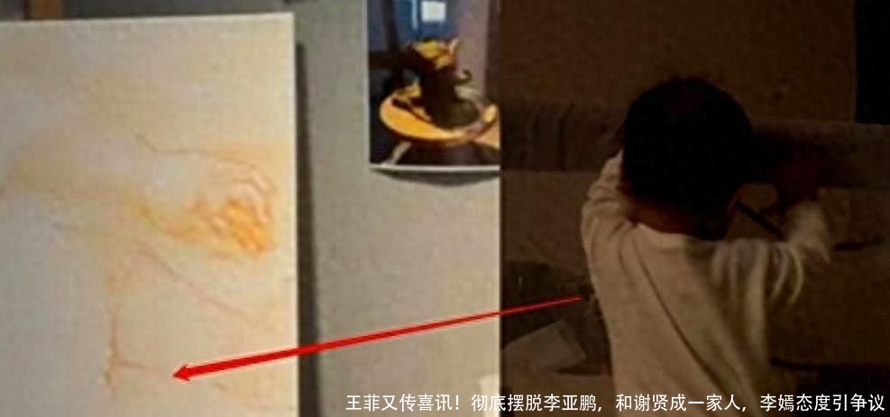 王菲又传喜讯！彻底摆脱李亚鹏，和谢贤成一家人，李嫣态度引争议