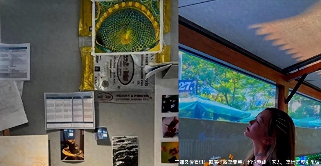 王菲又传喜讯！彻底摆脱李亚鹏，和谢贤成一家人，李嫣态度引争议