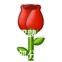 招聘上新，部分有编！