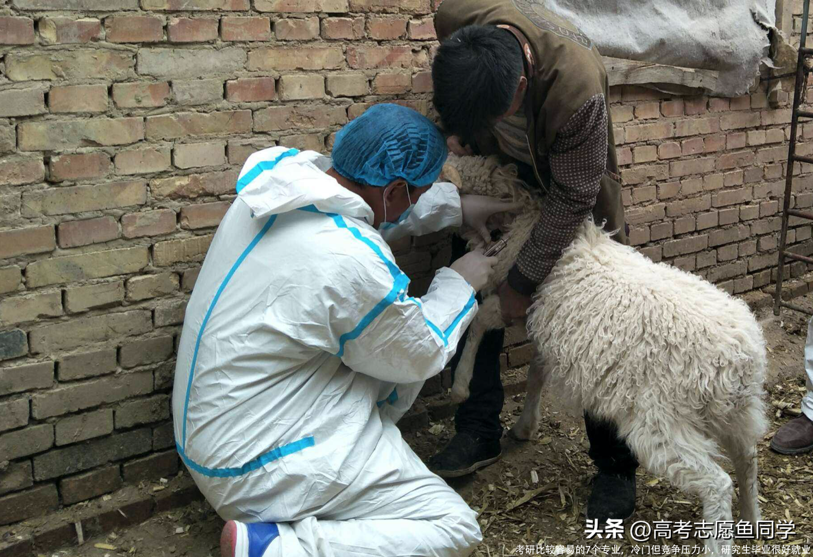 考研比较容易的7个专业，冷门但竞争压力小，研究生毕业很好就业