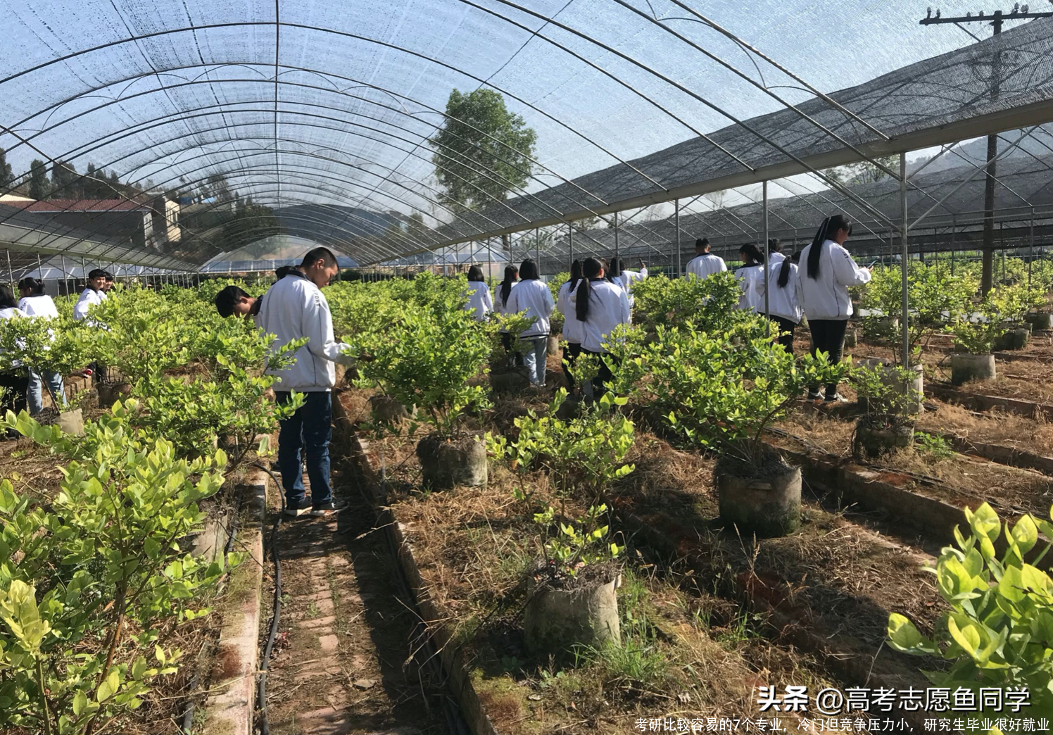 考研比较容易的7个专业，冷门但竞争压力小，研究生毕业很好就业