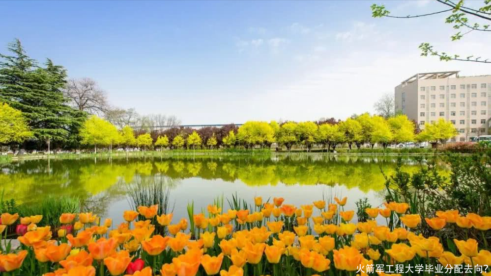 火箭军工程大学毕业分配去向？