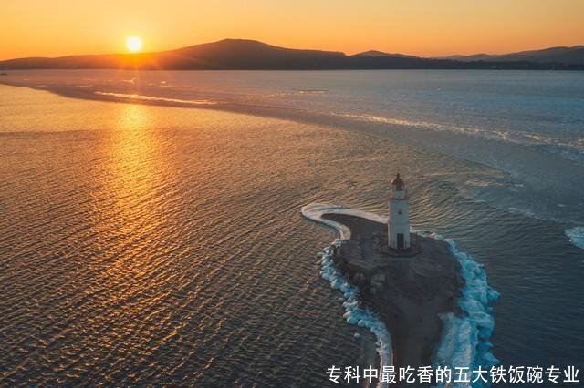 专科中最吃香的五大铁饭碗专业