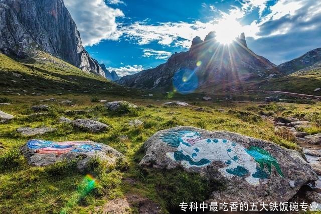 专科中最吃香的五大铁饭碗专业