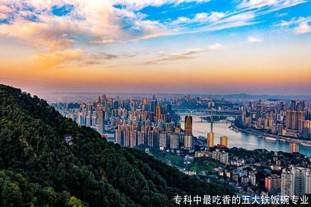 专科中最吃香的五大铁饭碗专业