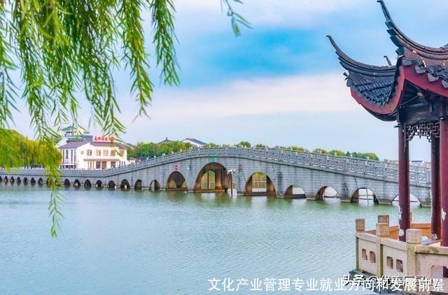 文化产业管理专业就业方向和发展前景