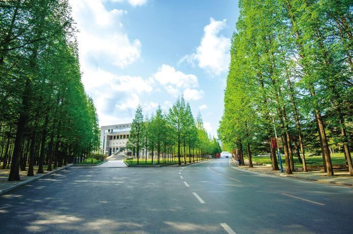 刚刚,2023辽宁省高考分数线公布!一文汇总大连理工大学招生“新变化”!