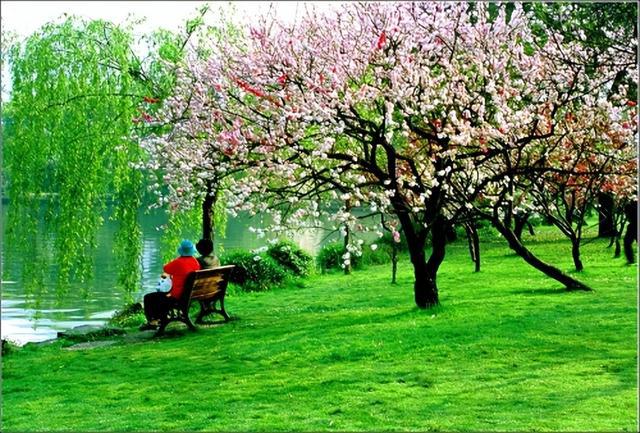 三潭印月的来历以及杭州西湖十大景点介绍