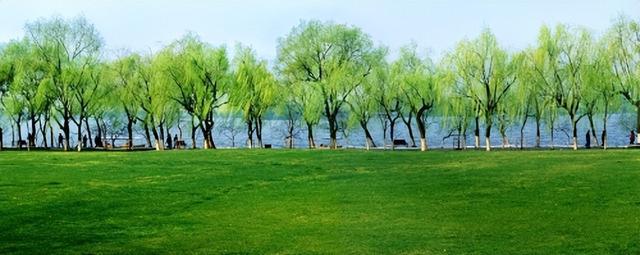 三潭印月的来历以及杭州西湖十大景点介绍