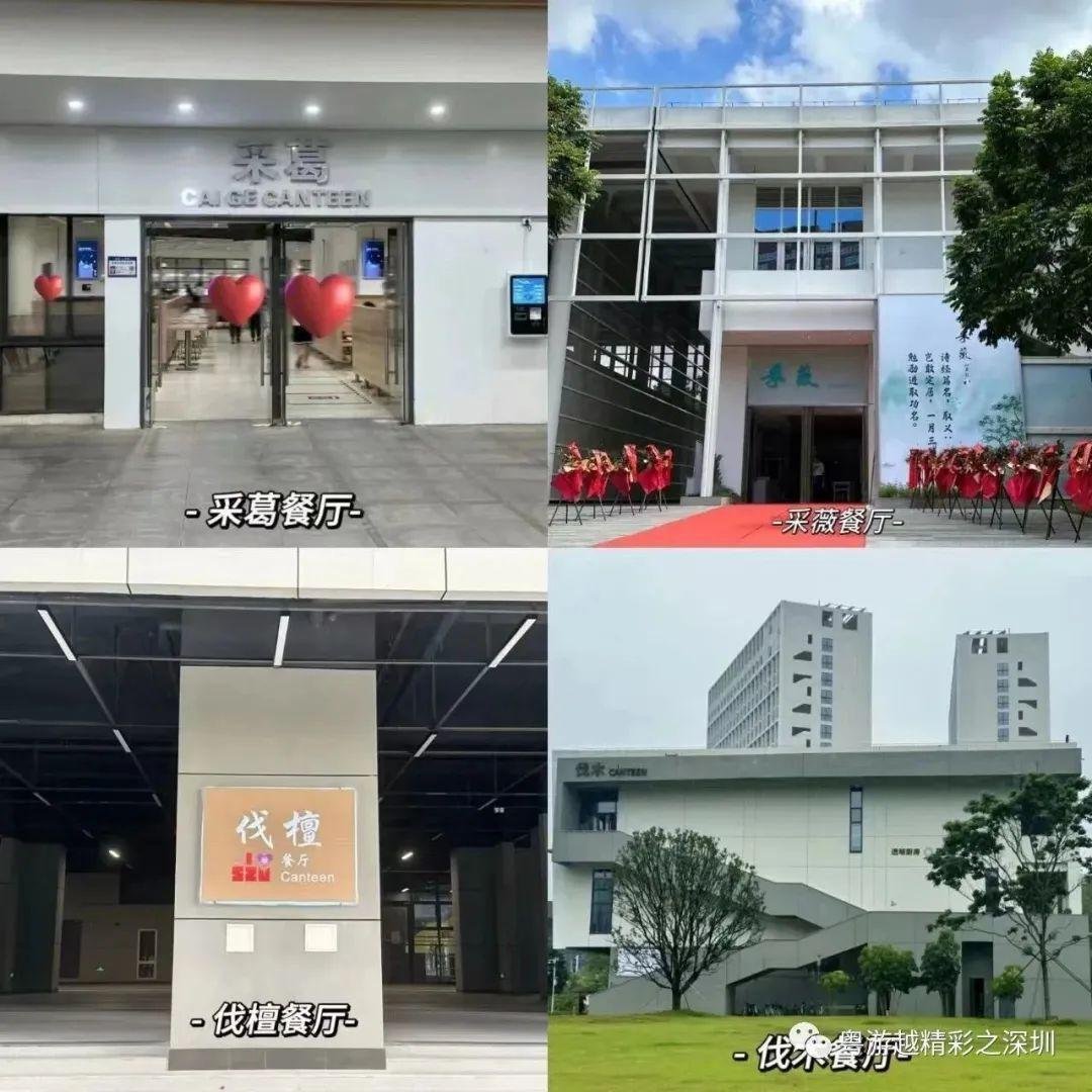 不是985／211“双非最强大学”深圳大学！