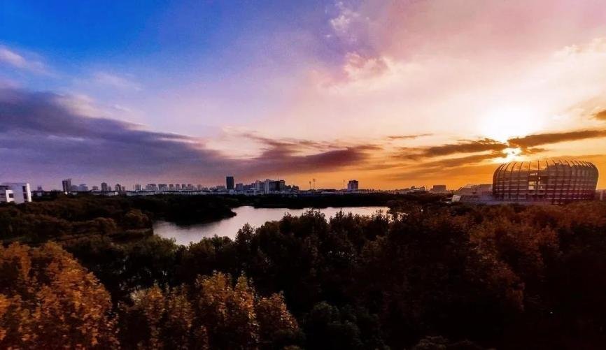 刚刚！2023上海高考分数线正式公布！一文汇总东华大学历年录取情况！